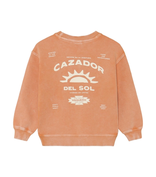 Daily7 truien Sandstone 920336