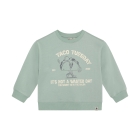 Daily7 truien Green Milieu 920338