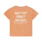 Daily7 shirts Sandstone 920349