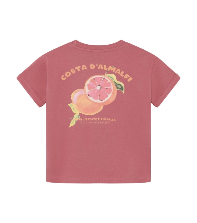 Daily7 shirts Heather Rose 930411