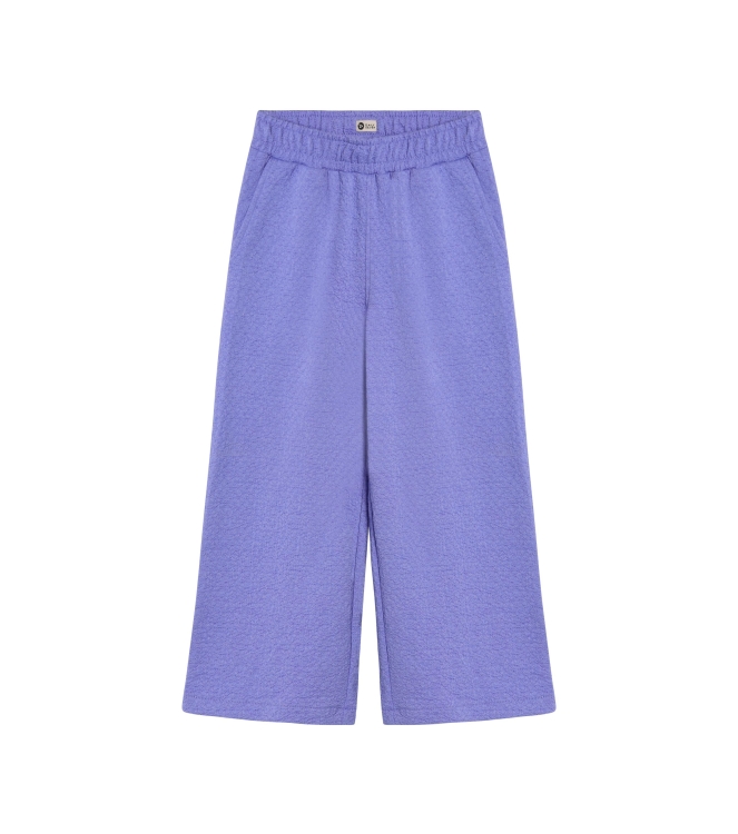 Daily7 broeken Lolite 930435