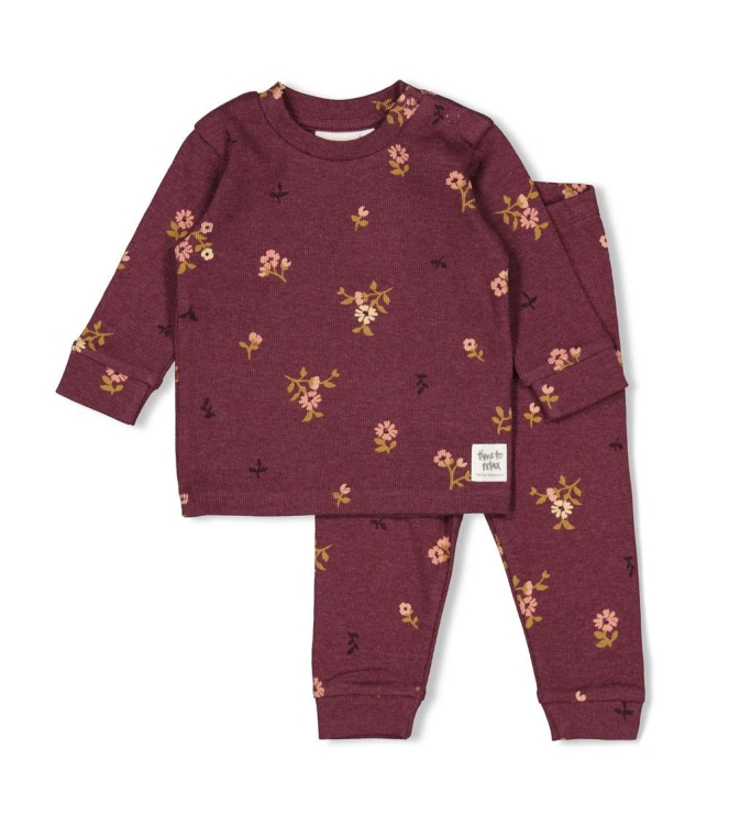 Feetje nachtkleding Wijn melange 50500086