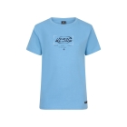 Indian Blue Jeans shirts 7012 Sky Blue 960047/IBBW24-3690