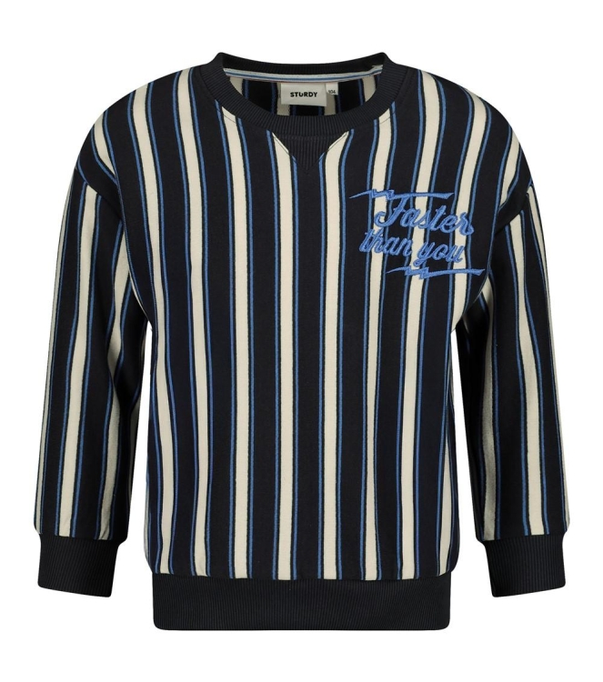 Sturdy truien 750 Antraciet 71600650