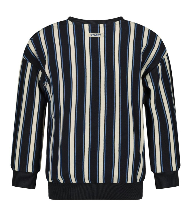 Sturdy truien 750 Antraciet 71600650