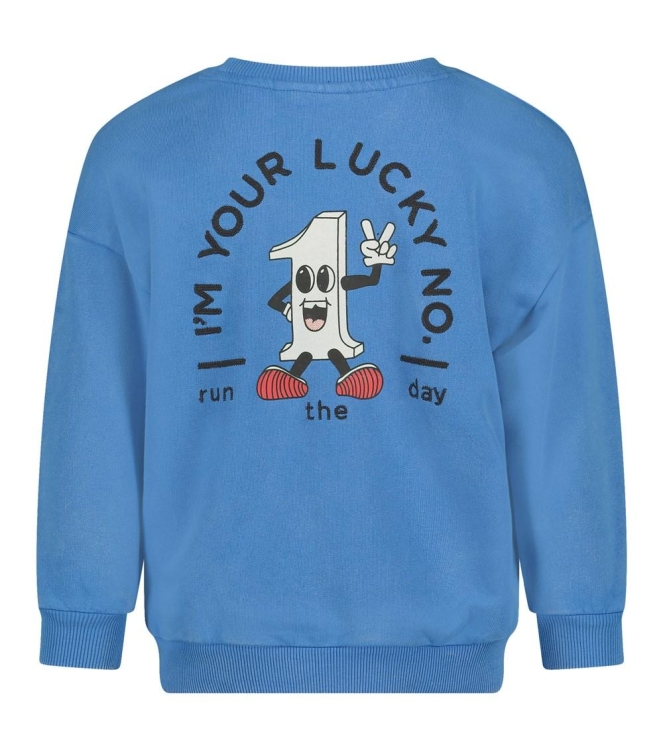 Sturdy truien 015 Blauw 71600651