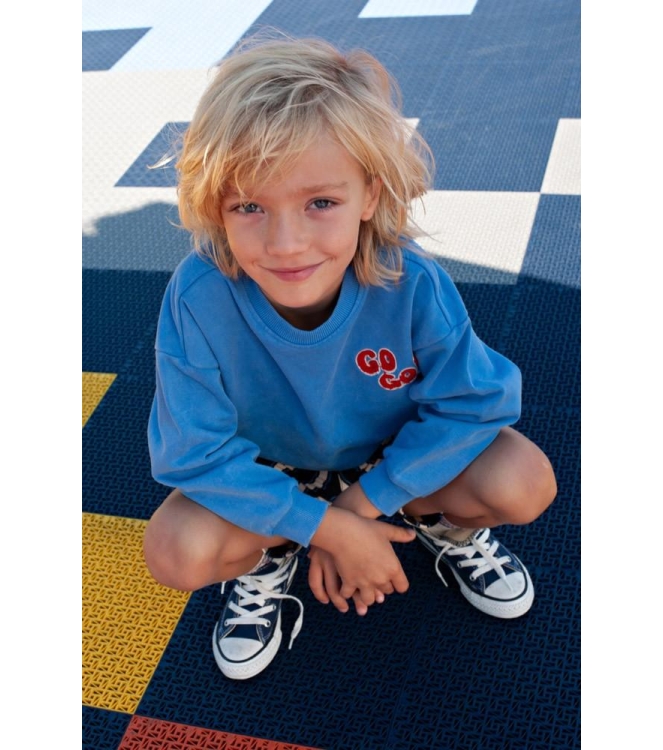 Sturdy truien 015 Blauw 71600651