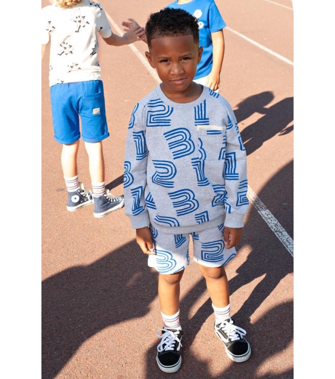 Sturdy truien 665 Grijs melange 71600652