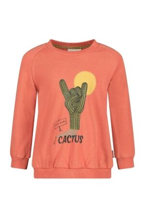 Sturdy Sweater - Desert Fiesta 165 Koraal