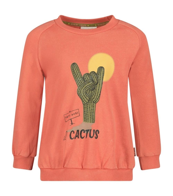 Sturdy truien 165 Koraal 71600653