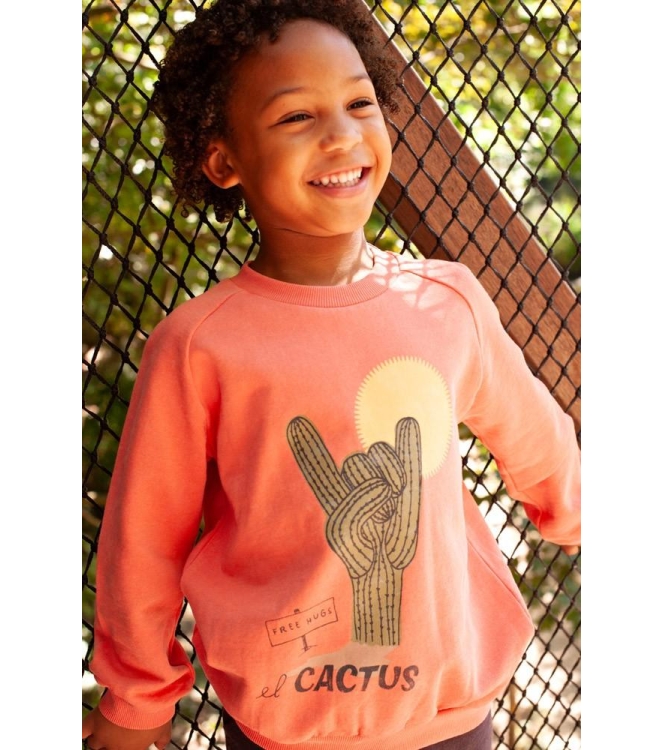 Sturdy truien 165 Koraal 71600653