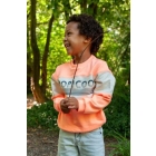 Sturdy truien 365 Neon Oranje 71600654