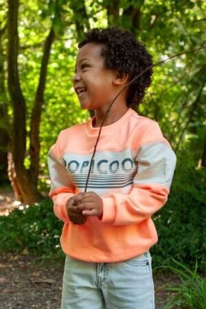 Sturdy Sweater - Lagoon Legends 365 Neon Oranje