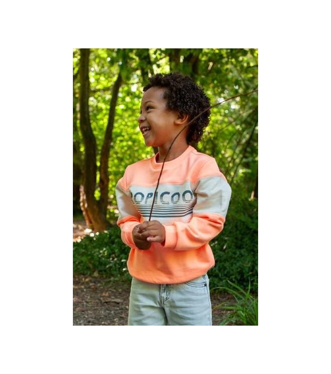 Sturdy truien 365 Neon Oranje 71600654