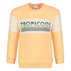 Sturdy truien 365 Neon Oranje 71600654