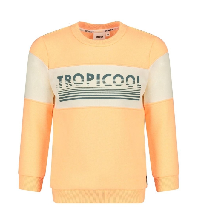 Sturdy truien 365 Neon Oranje 71600654