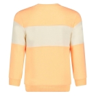 Sturdy truien 365 Neon Oranje 71600654