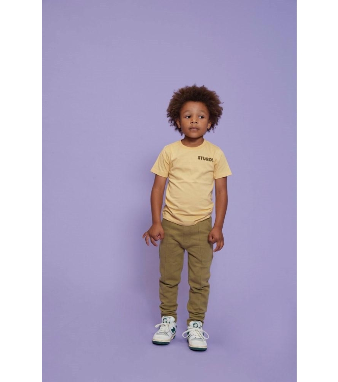 Sturdy shirts 200 Geel 71700487