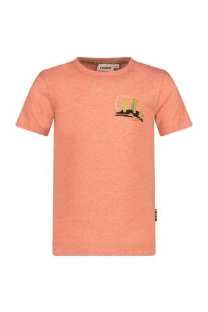 Sturdy T-shirt - Desert Fiesta 196 Koraal melange