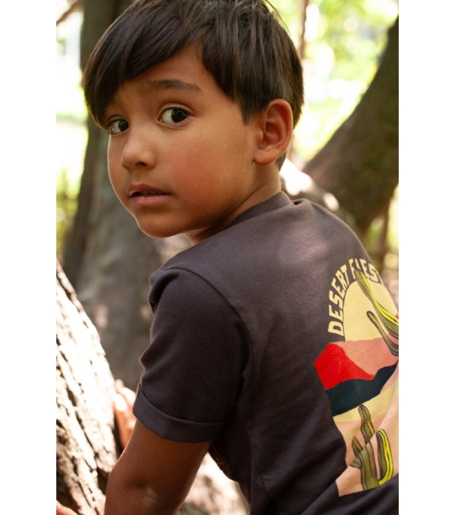 Sturdy shirts 405 d.Bruin 71700495