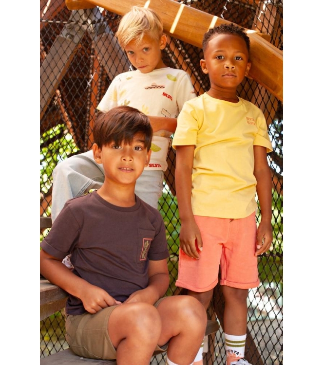 Sturdy shirts 405 d.Bruin 71700495