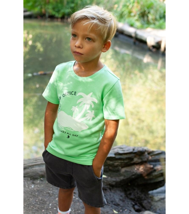 Sturdy shirts 300 Groen 71700500