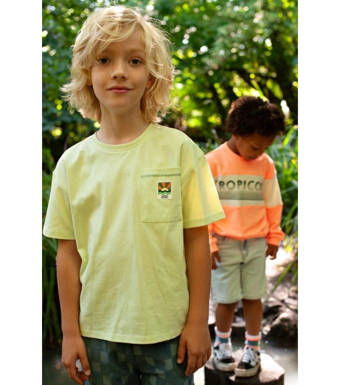 Sturdy shirts 310 Lime 71700503