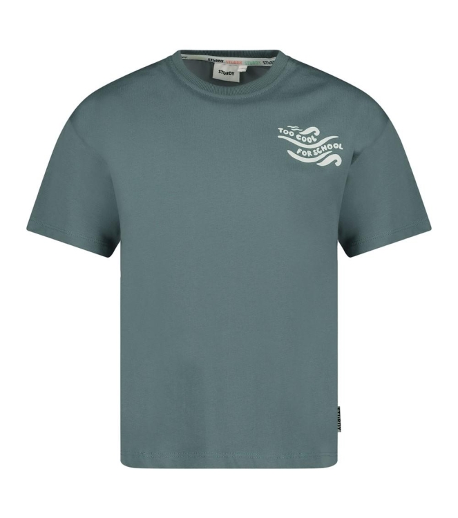 Sturdy shirts 080 Petrol 71700508