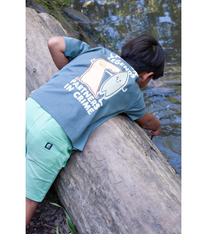 Sturdy shirts 080 Petrol 71700508