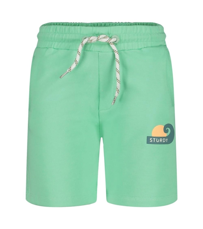 Sturdy broeken 300 Groen 72100192