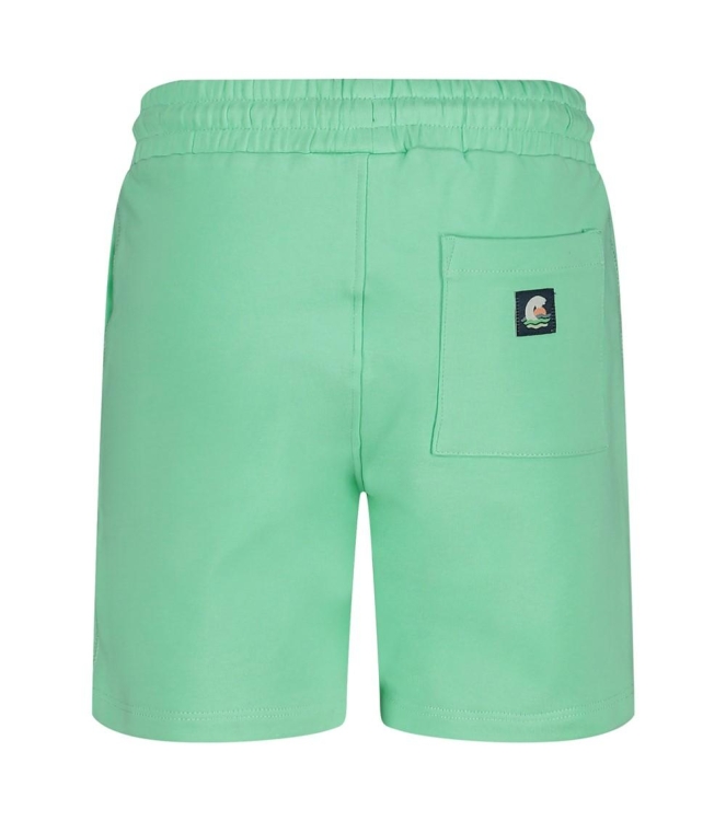 Sturdy broeken 300 Groen 72100192