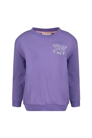Jubel Sweater met backprint - Rolling into Spring 250 Paars