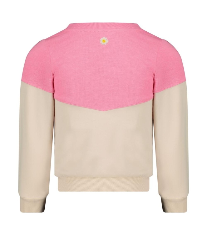 Jubel truien 150 Roze 91600459