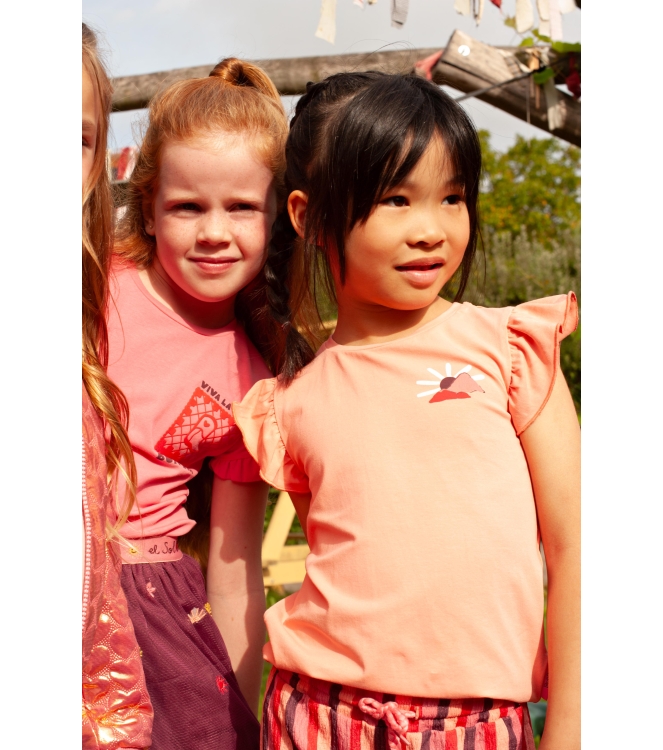 Jubel shirts 360 Zalm 91700436