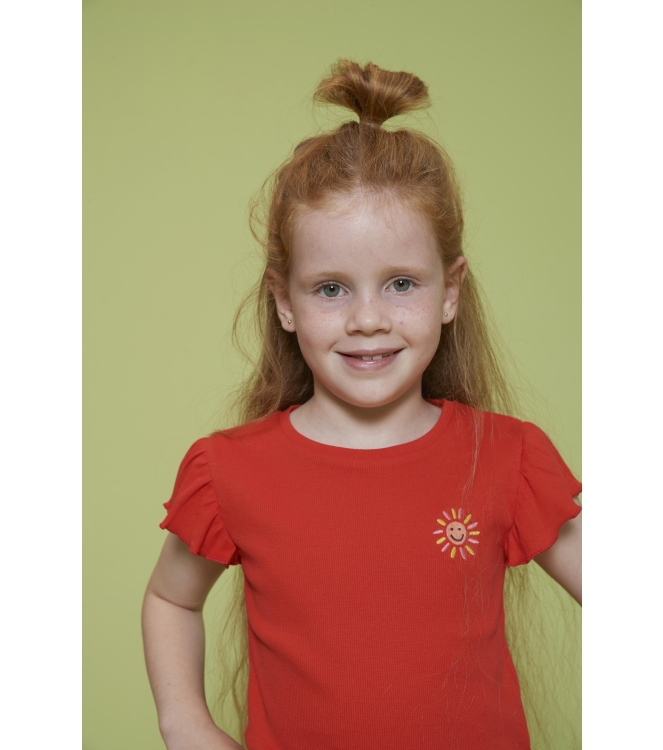 Jubel shirts 100 Rood 91700441