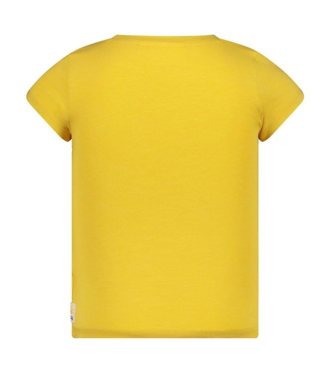 Jubel shirts 200 Geel 91700443