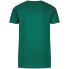 Raizzed shirts 1476 Jazlin green R126KB300069