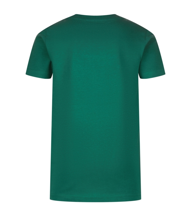 Raizzed shirts 1476 Jazlin green R126KB300069