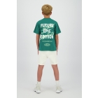 Raizzed shirts 1476 Jazlin green R126KB300072