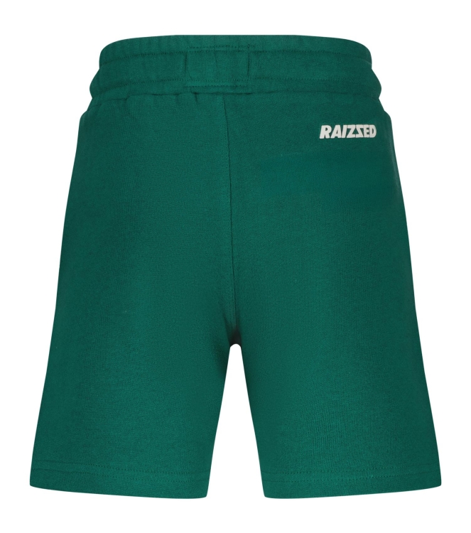 Raizzed broeken 1476 Jazlin green R126KB460079