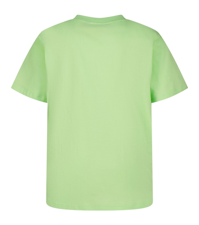 Raizzed shirts 1122 Paradise green R126KG300020
