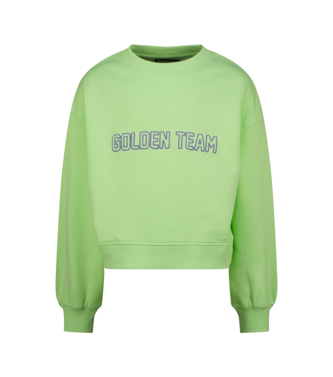 Raizzed truien 1122 Paradise green R126KG340011