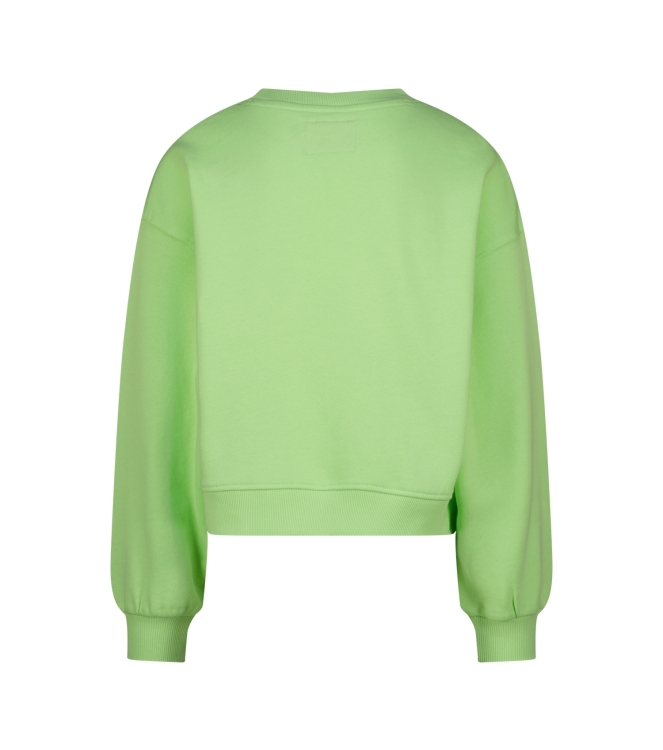 Raizzed truien 1122 Paradise green R126KG340011