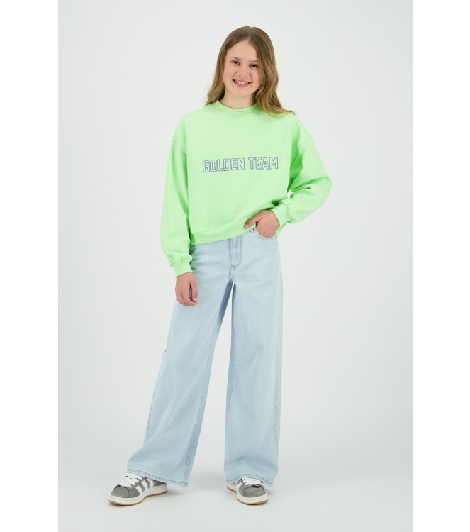 Raizzed truien 1122 Paradise green R126KG340011