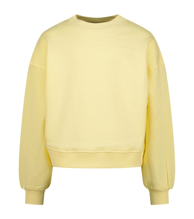 Raizzed truien 376 Anise flower R126KG340097