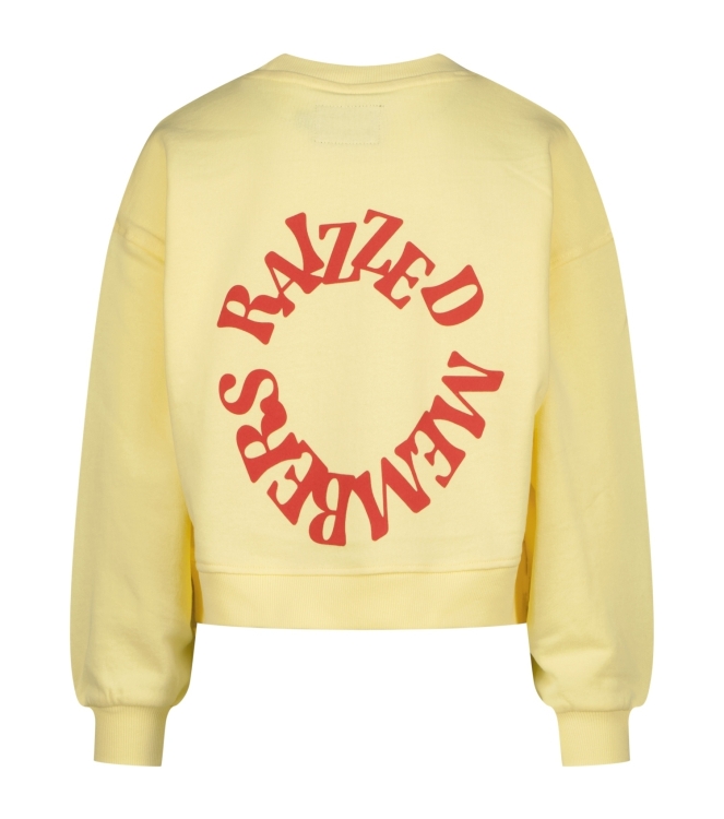 Raizzed truien 376 Anise flower R126KG340097