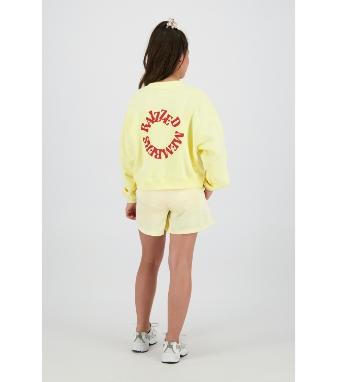 Raizzed truien 376 Anise flower R126KG340097