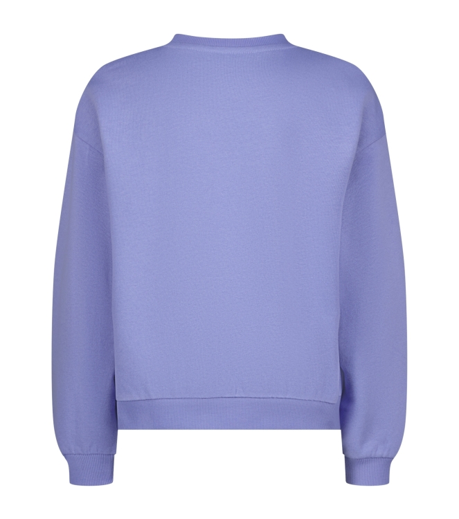 Raizzed truien 831 Daisy lilac R126KG340136