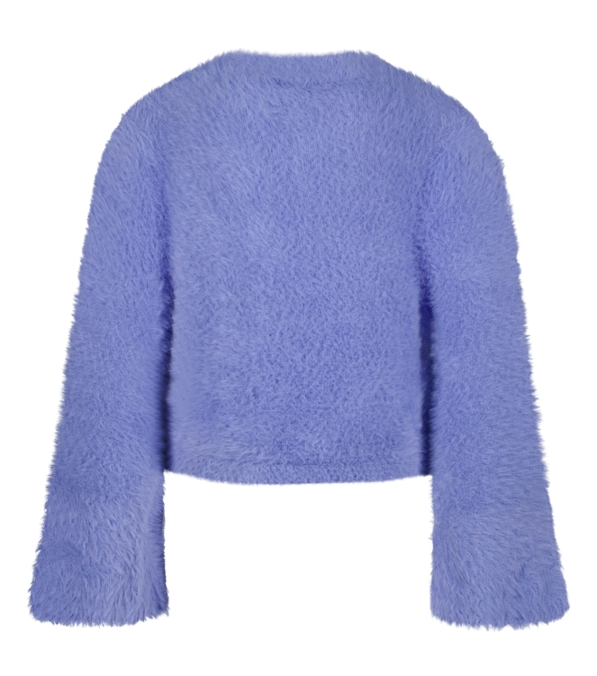 Raizzed truien 831 Daisy lilac R126KG342022