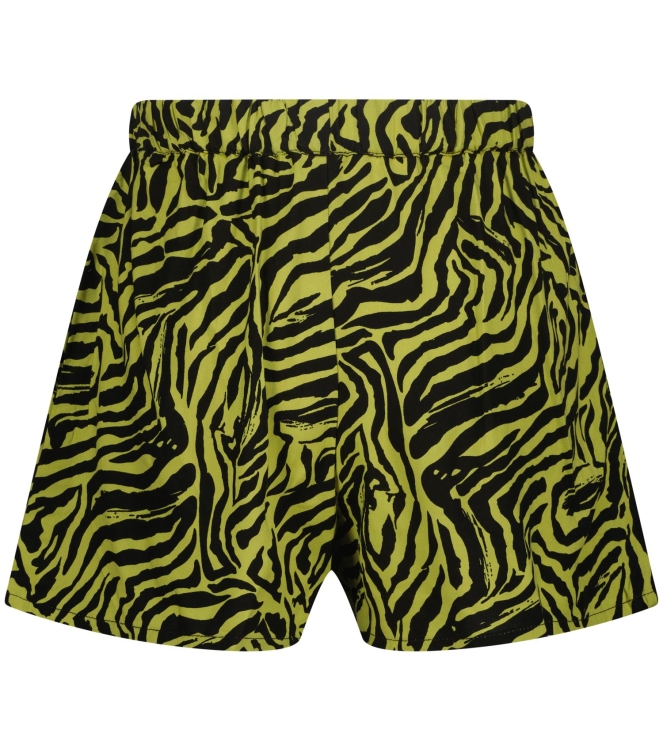 Raizzed broeken 1481 Linden green R126KG460098